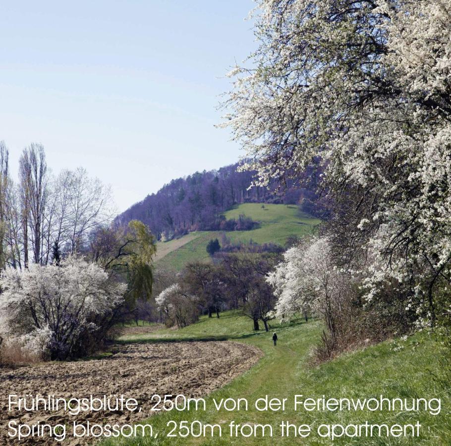 Passivhaus 750M Vom Bodensee -- 2X E-Bike Inklusive -- Neubau 2019 Am Ortsrand Ohningen Luaran gambar